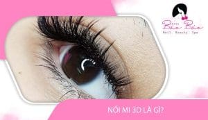 Nối Mi 3D Là Gì? Cách Nối Mi 3D Chi Tiết, Đúng Kỹ Thuật