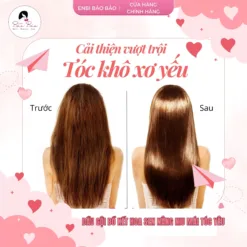 dầu gội bồ kết hoa sen