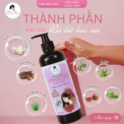 dầu gội bồ kết hoa sen