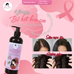 dầu gội bồ kết hoa sen