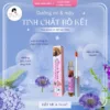 dưỡng mi bồ kết enbi bảo bảo